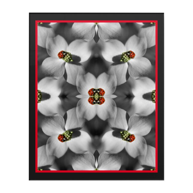 Ladybug On Dogwood Flower Abstract Nature   Acrylic Print (Front)
