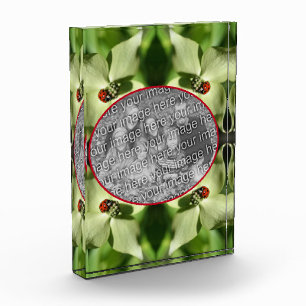 Ladybug On Dogwood Flower Add Your Own Photo Block