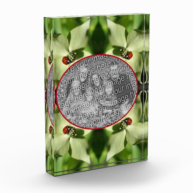 Ladybug On Dogwood Flower Add Your Own  Photo Block (Left)