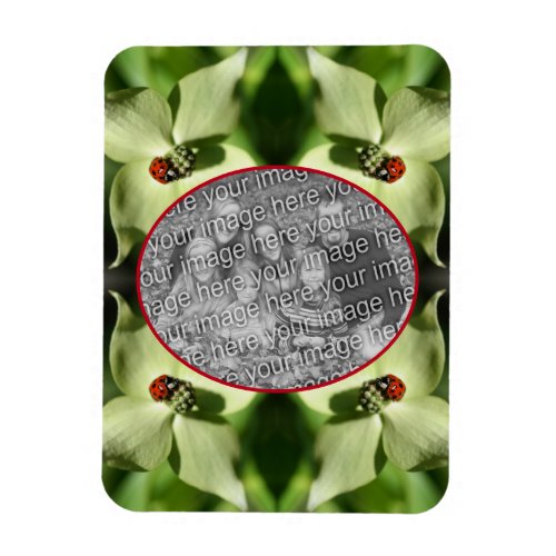Ladybug On Dogwood Flower Frame Add Your Photo Magnet