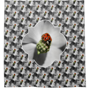 Ladybug On Dogwood Flower Nature Pattern  Shower Curtain