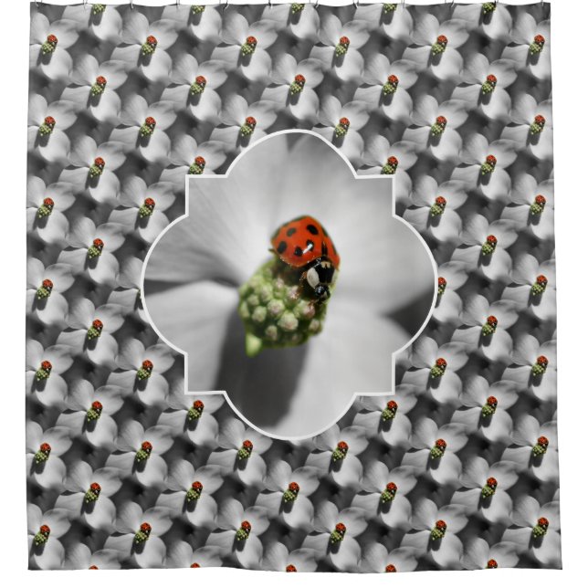 Ladybug On Dogwood Flower Nature Pattern  Shower Curtain (Front)