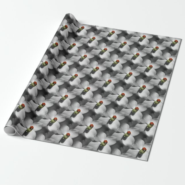 Ladybug On Dogwood Flower Nature Pattern   Wrapping Paper (Unrolled)