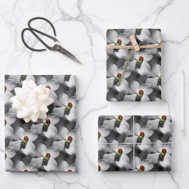Ladybug On Dogwood Flower Nature Pattern  Wrapping Paper Sheets (Front)