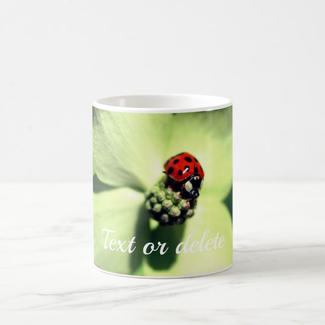 Ladybug On Dogwood Flower Personalized Coffee Mug (Center)