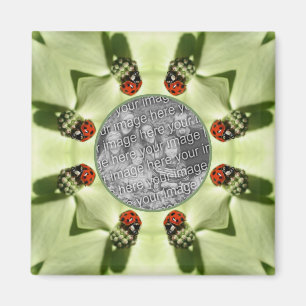 Ladybug On Dogwood Nature Add Your Photo Magnet