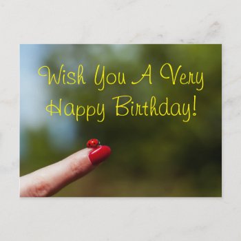 Ladybug On Finger Happy Birthday Wish Postcard by VBleshka at Zazzle