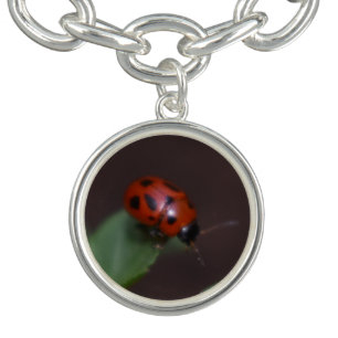 Ladybug on Flowers Bracelet