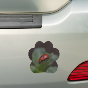 Ladybug on Flowers Car Magnet