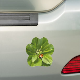 Ladybug on Flowers Car Magnet
