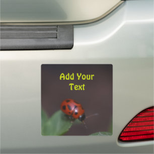 Ladybug on Flowers Car Magnet