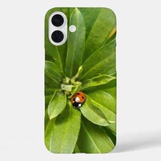 Ladybug on Flowers iPhone 16 Plus Case