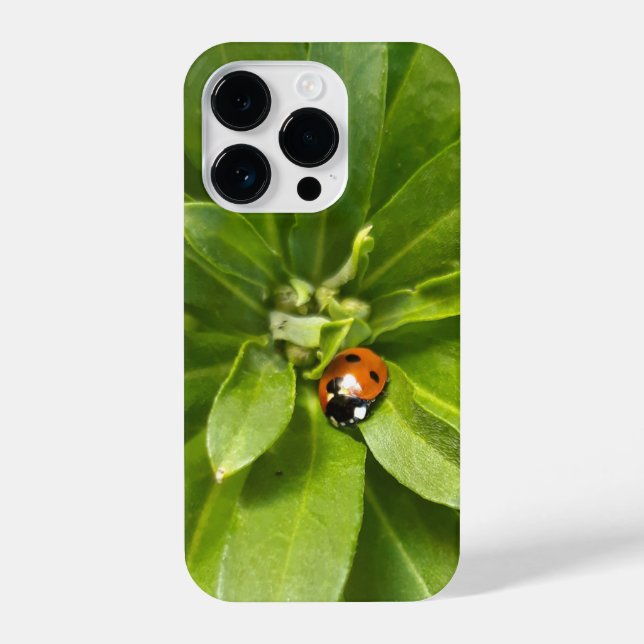 Ladybug on Flowers iPhone Case (Back)