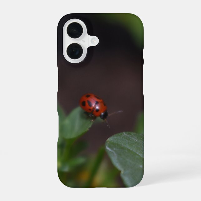 Ladybug on Flowers iPhone Case (Back)