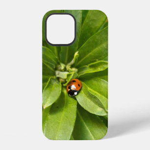 Ladybug on Flowers iPhone 12 Case