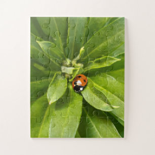Ladybug on Flowers Jigsaw Puzzle