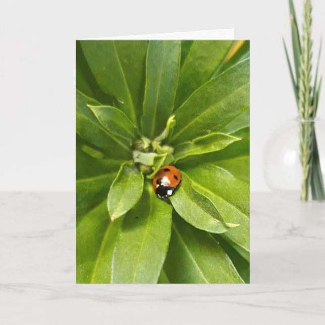 Ladybug on Flowers Note Card (Front)