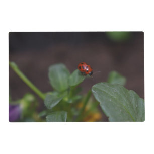 Ladybug on Flowers Pet Mat