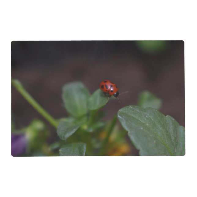 Ladybug on Flowers Pet Mat (Front)