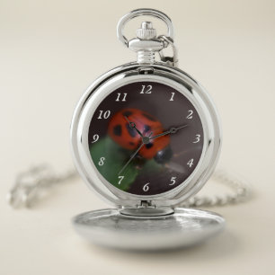 Ladybug on Flowers Pocket Watch