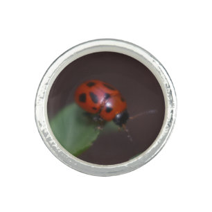 Ladybug on Flowers Ring