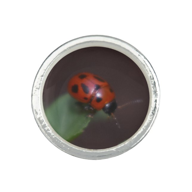 Ladybug on Flowers Ring (Front)