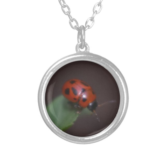 Ladybug on Flowers Silver Plated Necklace (Front)