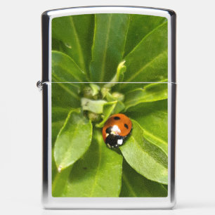 Ladybug on Flowers Zippo Lighter