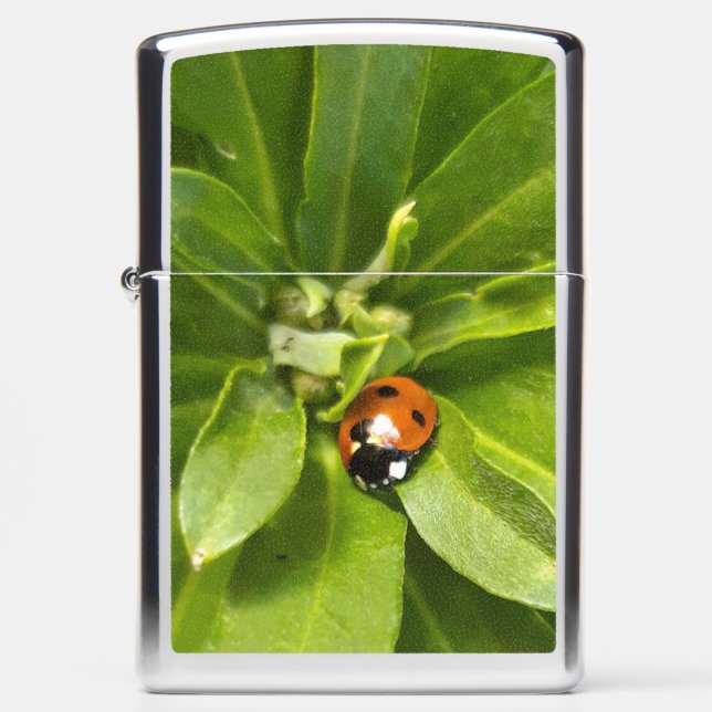 Ladybug on Flowers Zippo Lighter (Front)