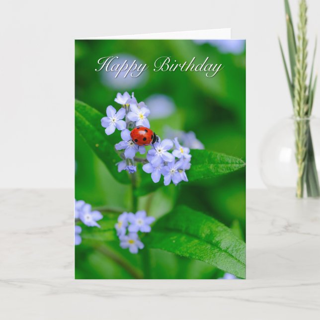 Ladybug on Forget-me-not Birthday Card (Front)