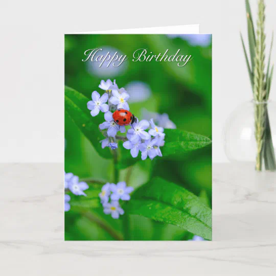 Ladybug and Forget-me-not Magnet