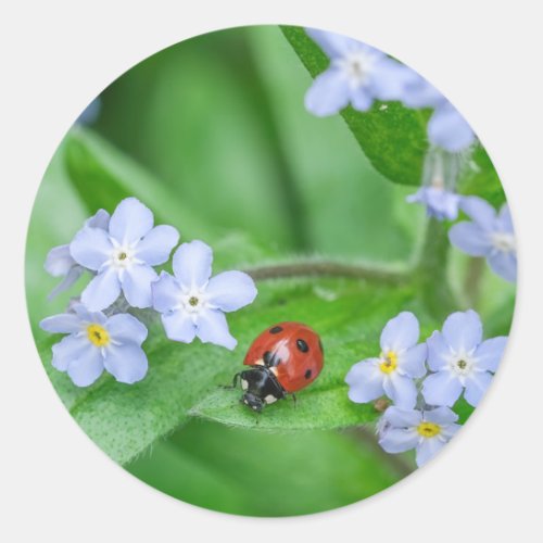 Ladybug on Forget_me_not Stickers