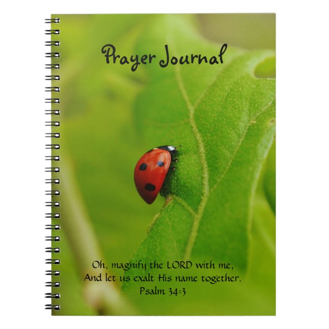 Ladybug on Green Leaves Faith Prayer Journal (Front)