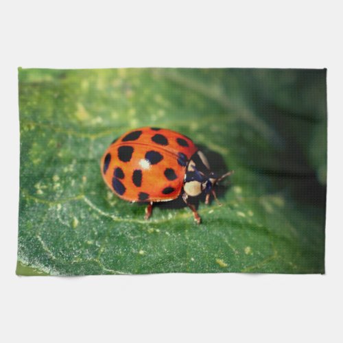 Ladybug On Leaf Close Up  Kitchen Towel