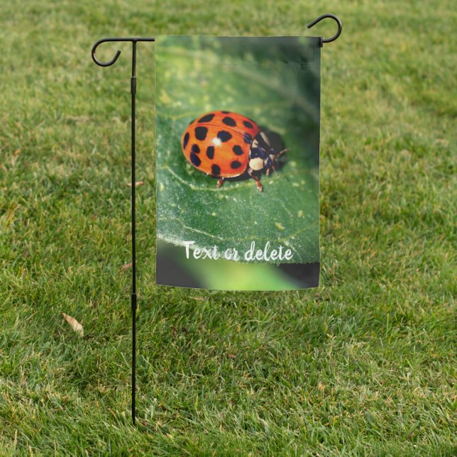 Ladybug On Leaf Close Up Personalized Garden Flag (In SItu)
