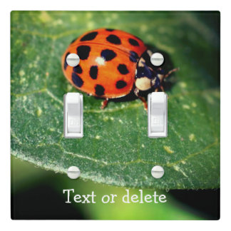 Ladybug On Leaf Close Up Personalized Light Switch Cover