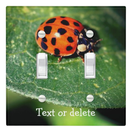 Ladybug On Leaf Close Up Personalized  Light Switch Cover