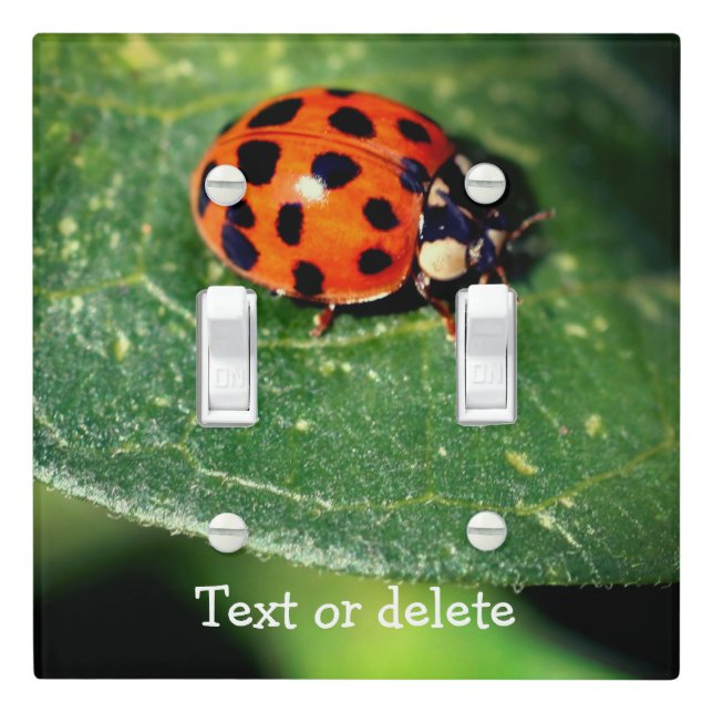 Ladybug On Leaf Close Up Personalized  Light Switch Cover (In Situ)