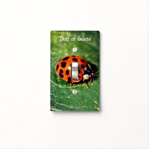 Ladybug On Leaf Close Up Personalized  Light Switch Cover