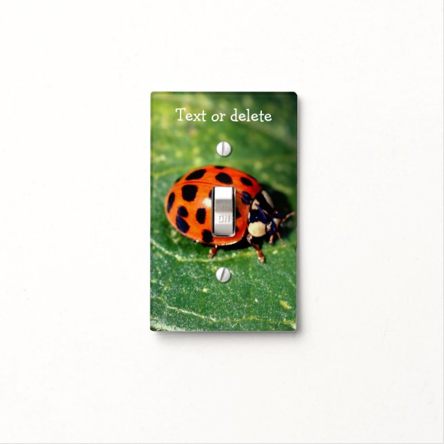 Ladybug On Leaf Close Up Personalized  Light Switch Cover (In Situ)