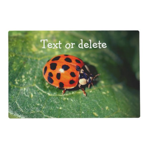 Ladybug On Leaf Close Up Personalized Placemat