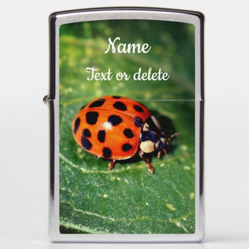 Ladybug On Leaf Close Up Personalized Zippo Lighter