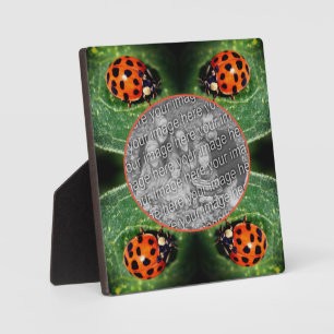 Ladybug On Leaf Create Your Own Photo Plaque