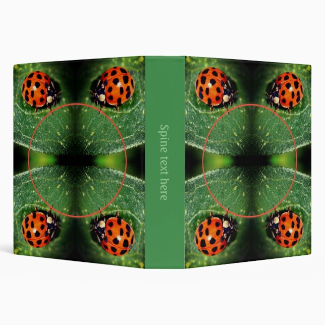 Ladybug On Leaf Frame Create Your Own Photo  3 Ring Binder (Background)