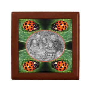 Ladybug On Leaf Frame Create Your Own Photo  Gift Box