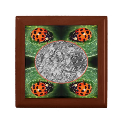 Ladybug On Leaf Frame Create Your Own Photo  Gift Box