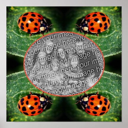 Ladybug On Leaf Frame Create Your Own Photo  Poster