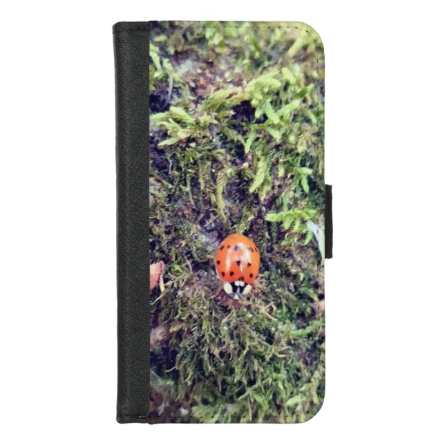 Ladybug on moss photography iPhone wallet case (Front)