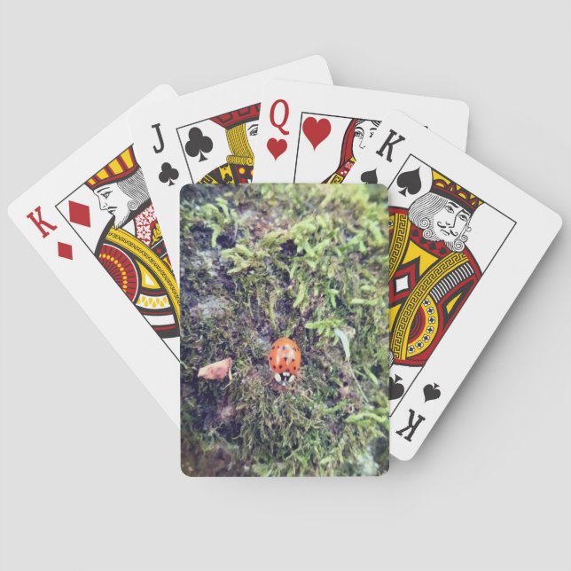 Ladybug on moss photography poker cards (Back)