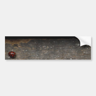 Ladybug on Rustic wood window Bumper Sticker